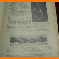   .  .  .  .  .  . 1930  .
