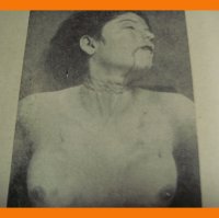   .  .  .  .  .  . 1930  .