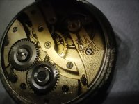 �������� ����������� , �� ���� .